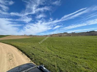 Adana Karaisalı Kuzgun Satılık Arazi 1