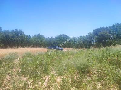 Bilecik Yenipazar'da Satılık Arazi 5