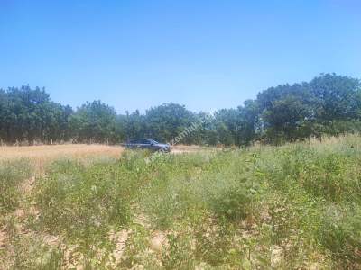 Bilecik Yenipazar'da Satılık Arazi 10