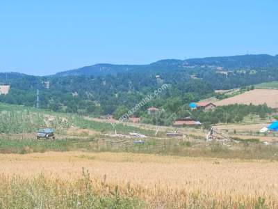 Bilecik Yenipazar'da Satılık Arazi 11