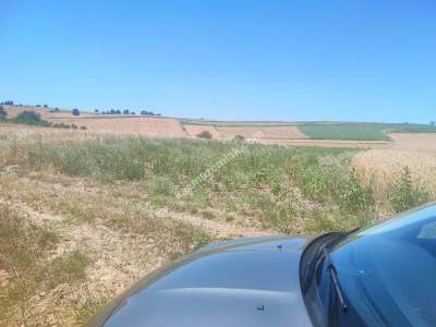 Bilecik Yenipazar'da Satılık Arazi 8