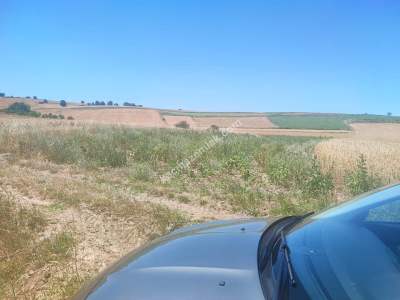 Bilecik Yenipazar'da Satılık Arazi 6