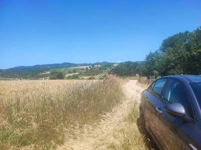 Bilecik Yenipazar'da Satılık Arazi 4