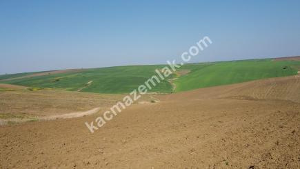 Çanakkale Gelibolu Yolu Üzeri 172 Dönüm Süper Arazi 2