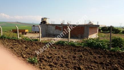 Çanakkale Gelibolu Yolu Üzeri 172 Dönüm Süper Arazi 5