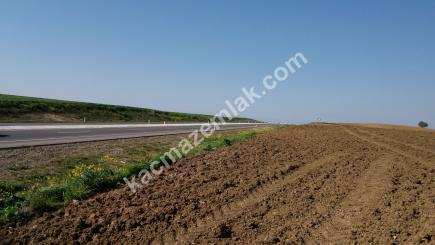 Çanakkale Gelibolu Yolu Üzeri 172 Dönüm Süper Arazi 4