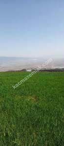 Denizli Sarayköy Sazakta Satılik Arazl Güneş Paneli İç 18