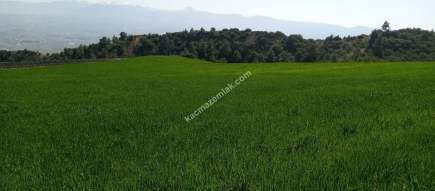 Denizli Sarayköy Sazakta Satılik Arazl Güneş Paneli İç 7