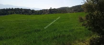 Denizli Sarayköy Sazakta Satılik Arazl Güneş Paneli İç 2