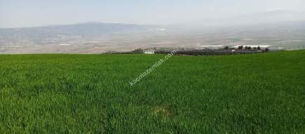 Denizli Sarayköy Sazakta Satılik Arazl Güneş Paneli İç 19