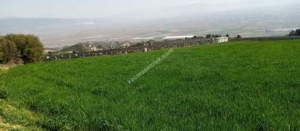 Denizli Sarayköy Sazakta Satılik Arazl Güneş Paneli İç 4