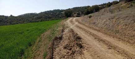 Denizli Sarayköy Sazakta Satılik Arazl Güneş Paneli İç 5