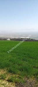 Denizli Sarayköy Sazakta Satılik Arazl Güneş Paneli İç 11