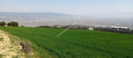 Denizli Sarayköy Sazakta Satılik Arazl Güneş Paneli İç 9