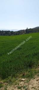 Denizli Sarayköy Sazakta Satılik Arazl Güneş Paneli İç 3