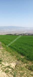 Denizli Sarayköy Sazakta Satılik Arazl Güneş Paneli İç 10