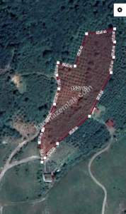 Şile Kadıköy De Satılık Arazi 8