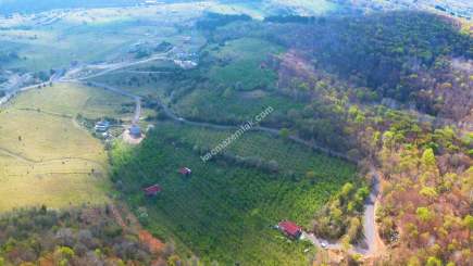 Şile Kadıköy De Satılık Arazi 5