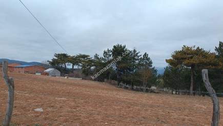 Kastamonu Daday Hasan Şeyh Köyünden Satılık Arsa 14