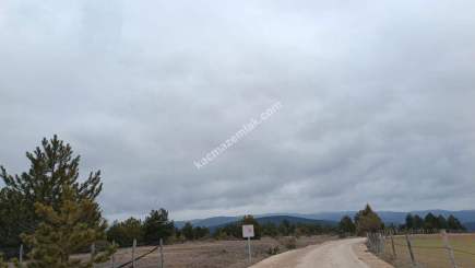 Kastamonu Daday Hasan Şeyh Köyünden Satılık Arsa 11