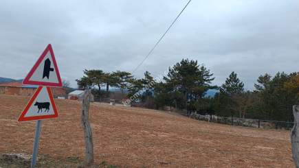 Kastamonu Daday Hasan Şeyh Köyünden Satılık Arsa 15