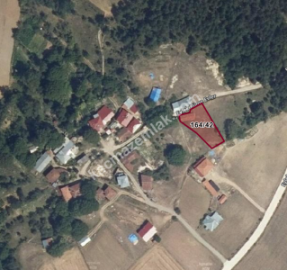 Kastamonu Daday Hasan Şeyh Köyünden Satılık Arsa 1