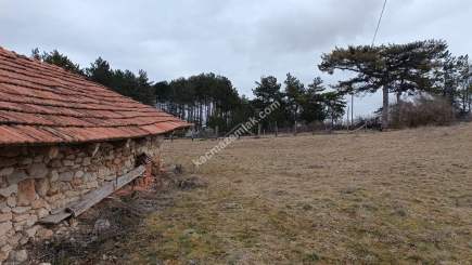 Kastamonu Daday Hasan Şeyh Köyünden Satılık Arsa 16