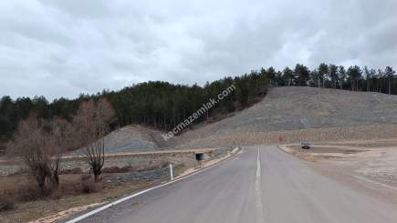 Kastamonu Daday Hasan Şeyh Köyünden Satılık Arsa 10