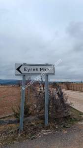 Kastamonu Daday Hasan Şeyh Köyünden Satılık Arsa 12