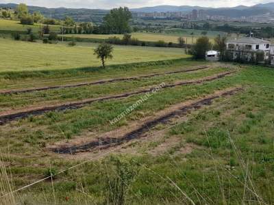 Kastamonu Merkez Et Yemez Köyünde Satılık Arsa 19