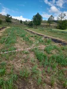 Kastamonu Merkez Et Yemez Köyünde Satılık Arsa 14