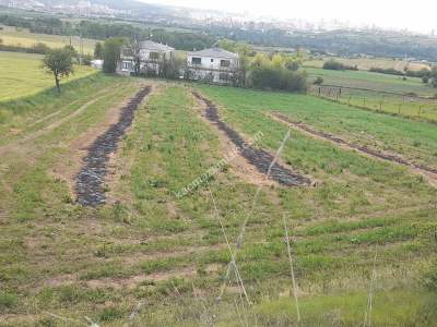 Kastamonu Merkez Et Yemez Köyünde Satılık Arsa 6