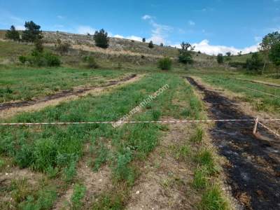 Kastamonu Merkez Et Yemez Köyünde Satılık Arsa 15