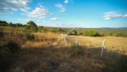 Kırklareli Yörükbayır Köyü Çiftlik Yapımına Uygun Arazi 7
