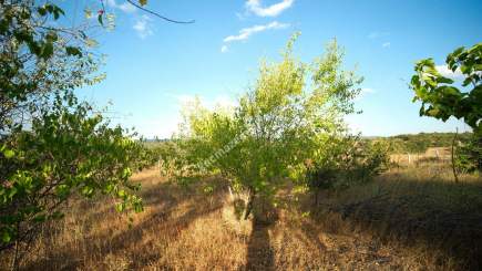 Kırklareli Yörükbayır Köyü Çiftlik Yapımına Uygun Arazi 8