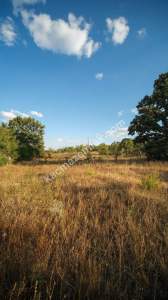 Kırklareli Yörükbayır Köyü Çiftlik Yapımına Uygun Arazi 9