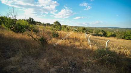 Kırklareli Yörükbayır Köyü Çiftlik Yapımına Uygun Arazi 6