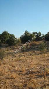 Kırklareli Yörükbayır Köyü Çiftlik Yapımına Uygun Arazi 22