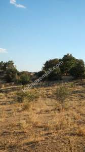 Kırklareli Yörükbayır Köyü Çiftlik Yapımına Uygun Arazi 21