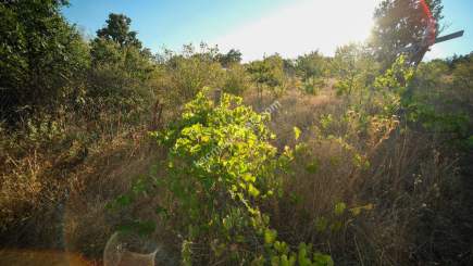 Kırklareli Yörükbayır Köyü Çiftlik Yapımına Uygun Arazi 14