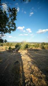 Kırklareli Yörükbayır Köyü Çiftlik Yapımına Uygun Arazi 15