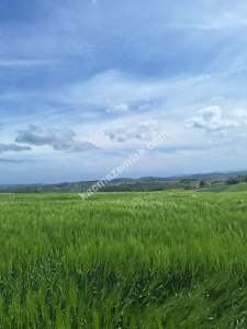 İzmit Kaynarcada Satılık Arazi 3