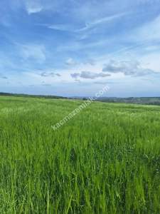 İzmit Kaynarcada Satılık Arazi 4