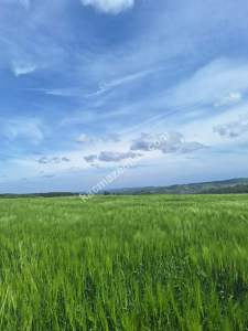 İzmit Kaynarcada Satılık Arazi