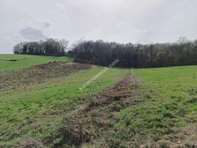 Kocaeli İzmit'te Satılık Arazi 2