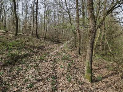 Kocaeli İzmit'te Satılık Arazi 7