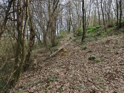 Kocaeli İzmit'te Satılık Arazi 8