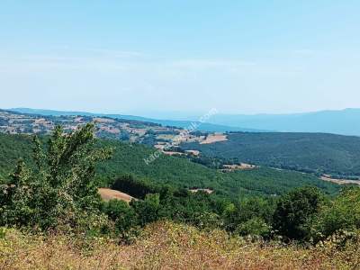 İzmit Kandıra Yolu Yassıbağ Tekkeköy'de 7,5 Dönüm 23