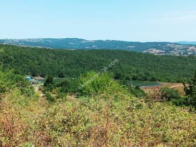 İzmit Kandıra Yolu Yassıbağ Tekkeköy'de 7,5 Dönüm 29