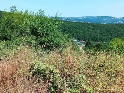 İzmit Kandıra Yolu Yassıbağ Tekkeköy'de 7,5 Dönüm 25